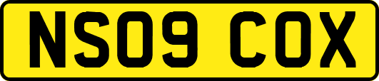 NS09COX