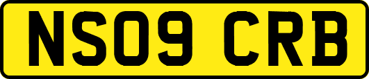NS09CRB