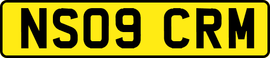NS09CRM