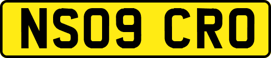 NS09CRO