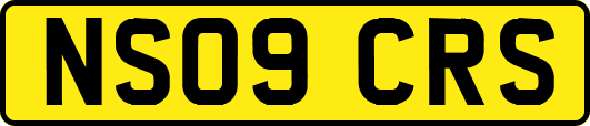 NS09CRS