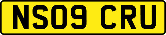 NS09CRU