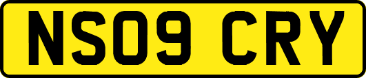 NS09CRY