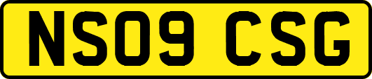 NS09CSG