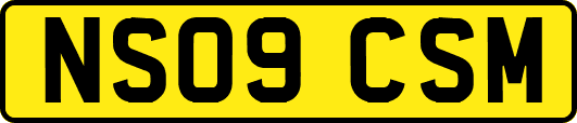 NS09CSM