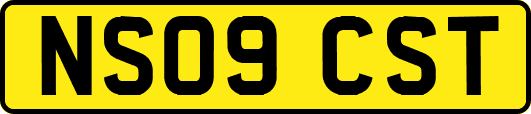 NS09CST