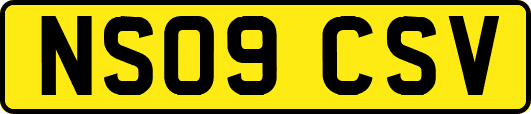 NS09CSV