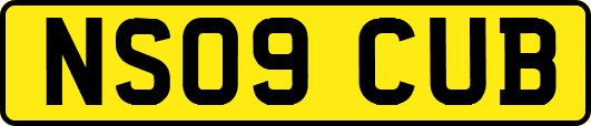 NS09CUB