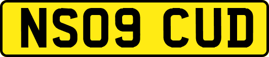 NS09CUD