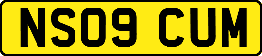 NS09CUM