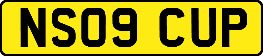 NS09CUP