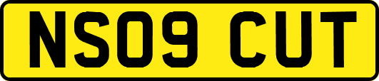 NS09CUT