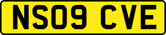 NS09CVE