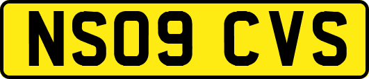 NS09CVS