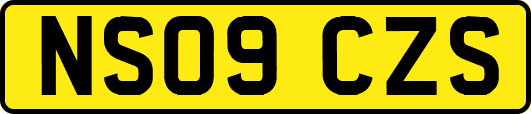 NS09CZS