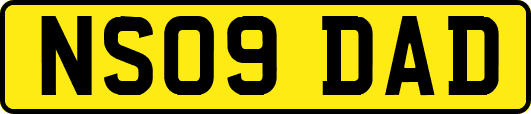 NS09DAD