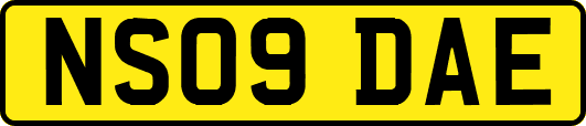 NS09DAE