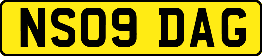 NS09DAG