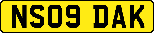 NS09DAK