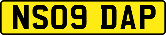 NS09DAP