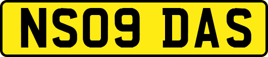 NS09DAS