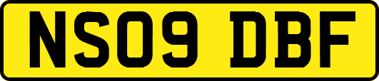 NS09DBF