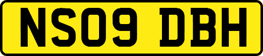 NS09DBH