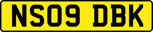 NS09DBK