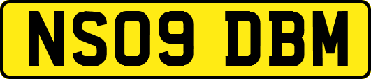 NS09DBM