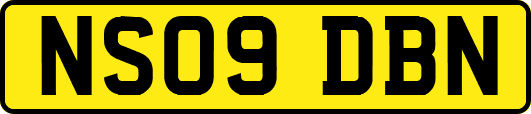 NS09DBN