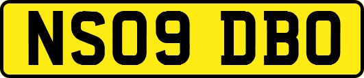 NS09DBO