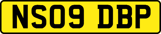 NS09DBP
