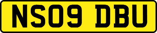 NS09DBU