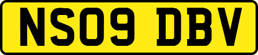NS09DBV