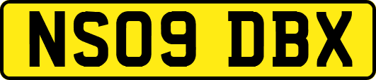NS09DBX