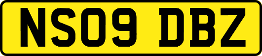 NS09DBZ