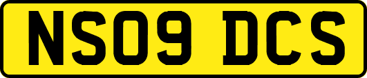 NS09DCS