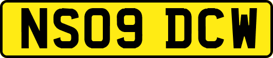 NS09DCW