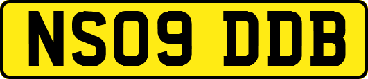 NS09DDB