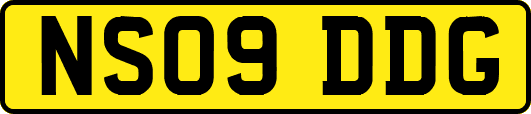 NS09DDG