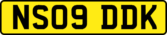 NS09DDK
