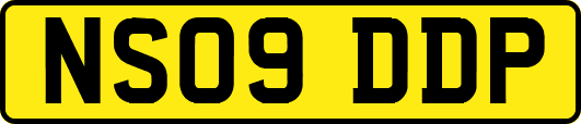 NS09DDP