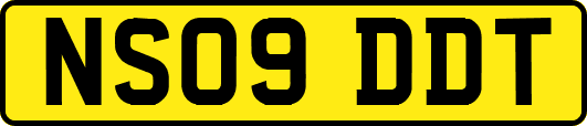NS09DDT