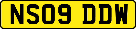 NS09DDW