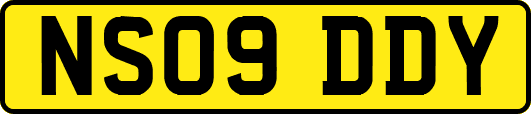 NS09DDY