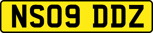 NS09DDZ