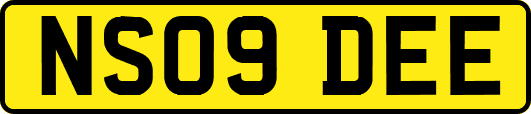 NS09DEE
