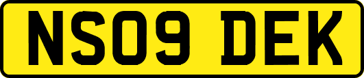 NS09DEK