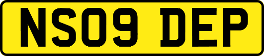 NS09DEP