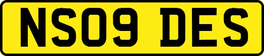NS09DES